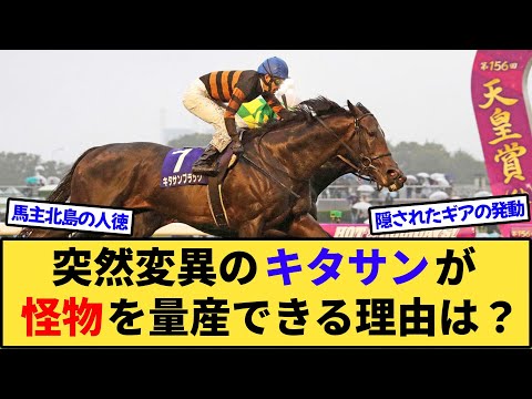 【競馬】なぜキタサンブラックのような突然変異の馬がポンポンと怪物を生み出せるのか？