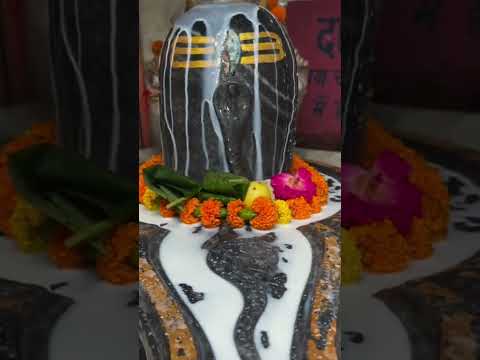 jai mahadev#jaibholenaath