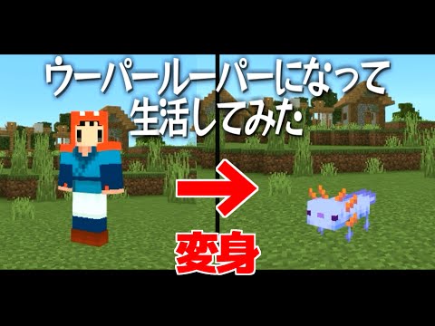 【Minecraft】ウーパールーパーになって生活してみた【ゆっくり実況】【まいくら】【マインクラフト】