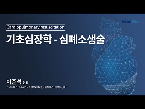 [베터플릭스][기초심장학] 심폐소생술(Cardiopulmonary resuscitation)