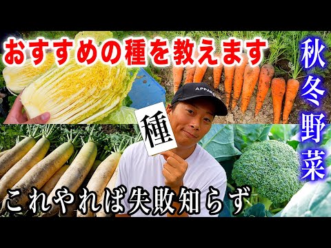 【秋冬野菜】絶対失敗しないおすすめ品種紹介〜白菜・キャベツ・ブロッコリー・レタス・菜花・大根・人参〜