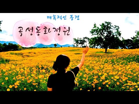 곡성섬진강기차마을 동화정원 소개합니다.~!! #곡성동화정원 #곡성여행 #곡성기차마을동화정원 #곡성학교산