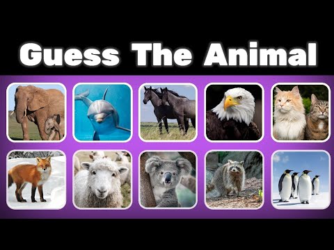 CAN YOU GUESS THE ANIMAL | Guess The Animal 🦁🐕