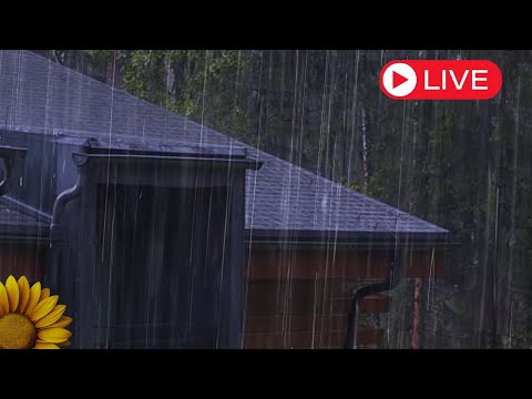 🔴 SOM para Boa NOITE de SONO,  CHUVA FORTE  com TROVÃO, Vença a INSÔNIA 🌧️