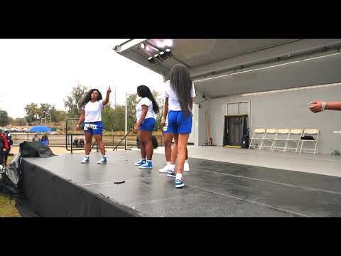 FISSNIK: THE STROLL-OFF: BETA ETA CHAPTER OF SIGMA GAMMA RHO SORORITY, INC. (UNIVERSITY OF FLORIDA)