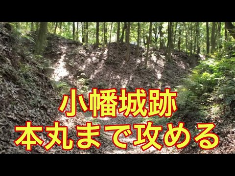 【城の絶景】小幡城跡（茨城県）「大迫力の土塁を進む」