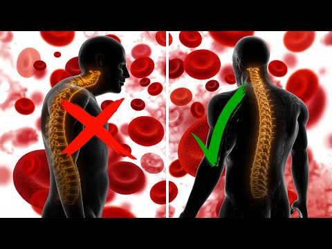 BLOOD CIRCULATION THROUGHOUT THE BODY [ ALPHA WAVES TREAT BACK PAIN ] Positive Energy Flow, 432Hz