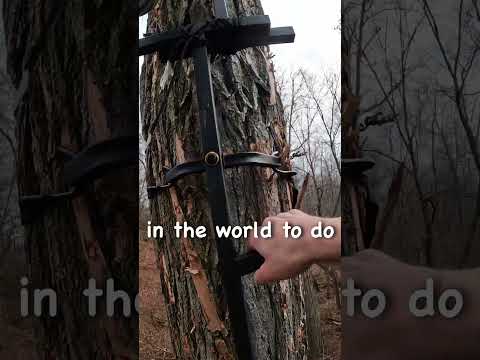 World's Tallest Tree Stand! #hunting #deerhunting #shorts