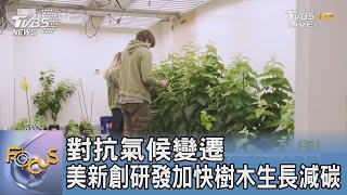 對抗氣候變遷 美新創研發加快樹木生長減碳｜FOCUS午間新聞 20220802