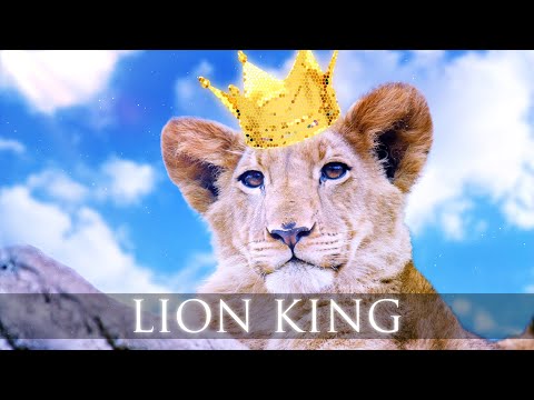 Elektronomia - Lion King (Ft. Caroline)