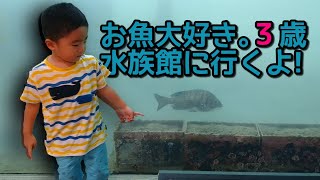 水族館に行こう！3歳の男の子、おさかな大好き、福岡県子どもの遊び場