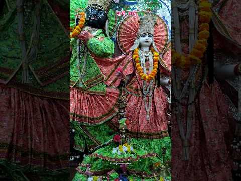 Kanha Sang Radha | Raghunath Temple Jammu | Radha Krishna #radheradhe #krishna #krishnabhajan #kanha