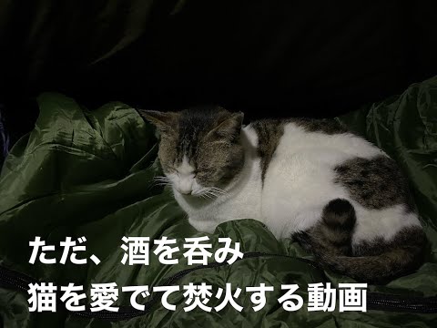 ただ焚き火しながら酒を呑み猫を愛でる動画   HD 720p