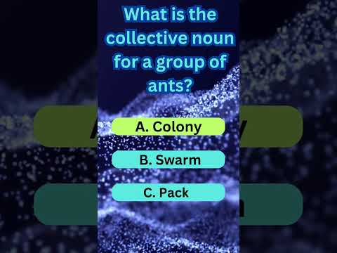 Epic Insect Quiz Challenge! Part 11 #viral #quiz #trending #shorts