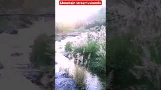 Mountain water stream sounds for sleeping #watersoundsforsleeping #relaxingstreams #naturesounds