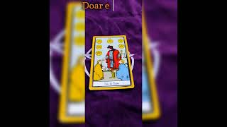 #tarot #tarologa #tarotcard #tarotdodia #tarotonline