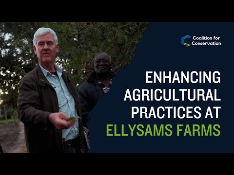 Enhancing Agricultural Practices at EllySams Farms