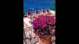 Positano: A Stroll through Italy’s Coastal Paradise #travelshorts #positano #italy #vacation #views