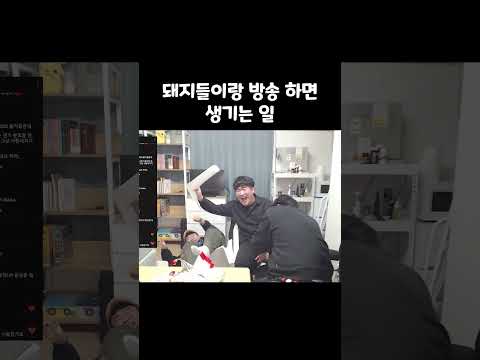 돼지들이랑 방송 하면 생기는 일