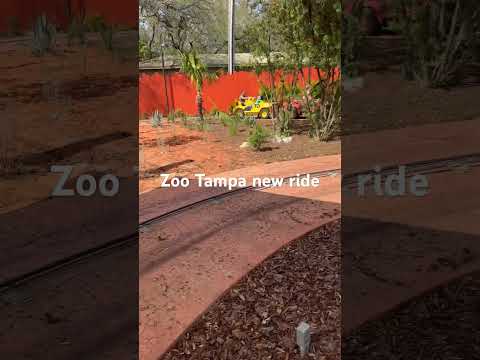 Zoo Tampa #zoo #safari #kidsride