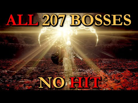 ALL 207 BOSSES NO HIT BASELINE RUN