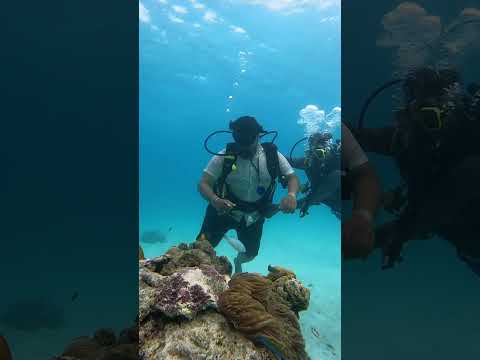 #lakshadweep Cordelia Cruises ￼ #scubadiving amazing experience ￼