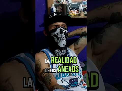 👆🏻 La Realidad de los Anexos