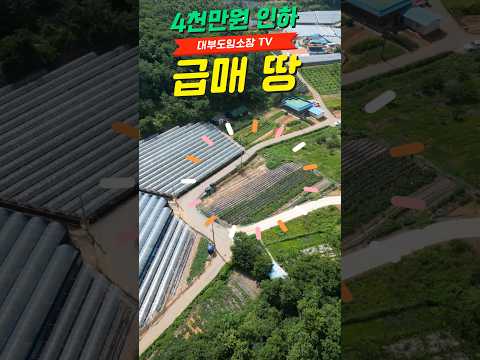 (4천만원 인하 급매 땅) 주말농장 농막 매매  체류형쉼터 추천 토지 급매  대부도부동산 NO 1059 #주말농장매매 #농막토지 #대부도부동산