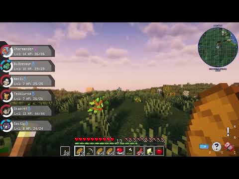 Pixelmon part 1