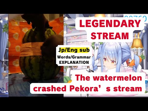 【Learn Japanese with Hololive clip | Jp/Eng sub】The watermelon crashed Pekora's PC