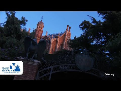 【公式】ホーンテッドマンション / Haunted Mansion | 東京ディズニーランド/Tokyo Disneyland