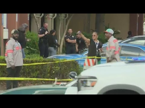 Off-duty Lauderhill officer shoots, kills 2 dogs