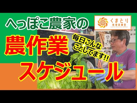 へっぽこ農家の1日の作業スケジュール