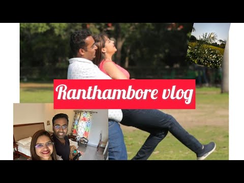 Ranthambore vlog | Fam time | Anantvan resort