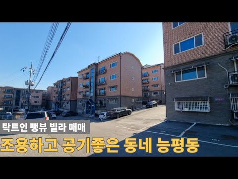 [주택넘버 892] 거실 창문에서 보이는 숲뷰, 공기좋고 조용한 동네