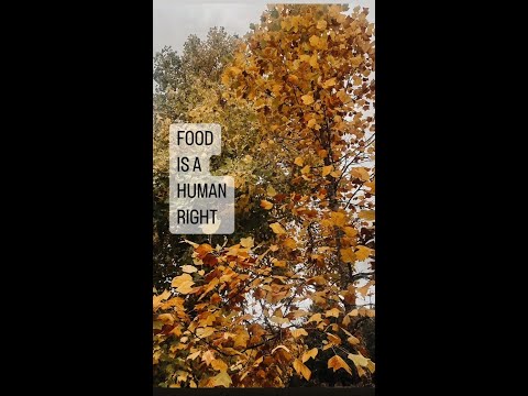 Food is a human right