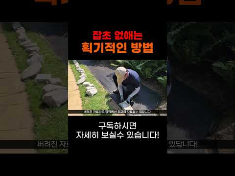 잡초 없애는 획기적인 방법! #shorts #잡초제거