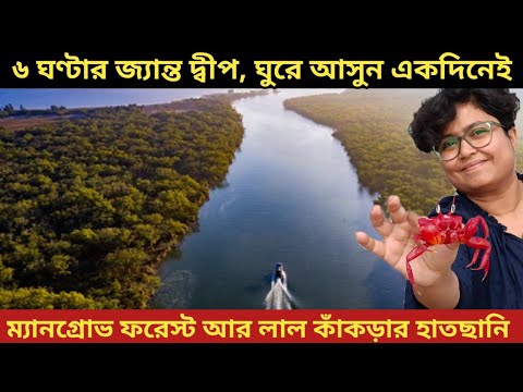 নদী, সাগর, পরিযায়ী পাখি,Boat Ride/ New Weekend Destination near Digha/ Travel with Sulagna