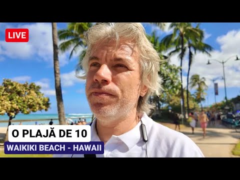 🔴 WAIKIKI BEACH, o PLAJĂ de 10! Cum ar trebui să arate și MAMAIA sau tot LITORALUL ROMÂNESC