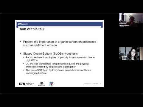 Sediment properties, marine carbon cycle