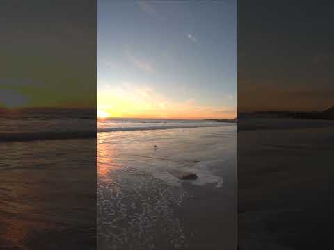 Sunset beach walk in Ventura ASMR 🌞 🌊