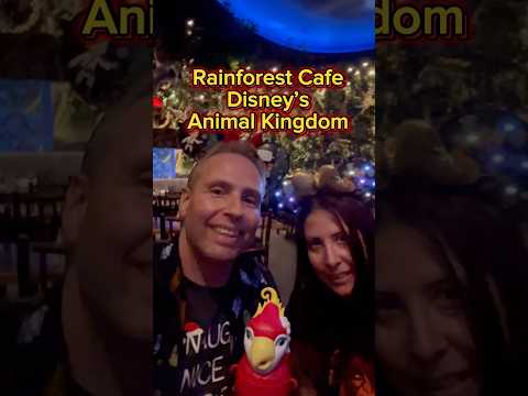 Rainforest Cafe At Disney’s Animal Kingdom #disney #shorts #foodies #animallover #2025 #holiday