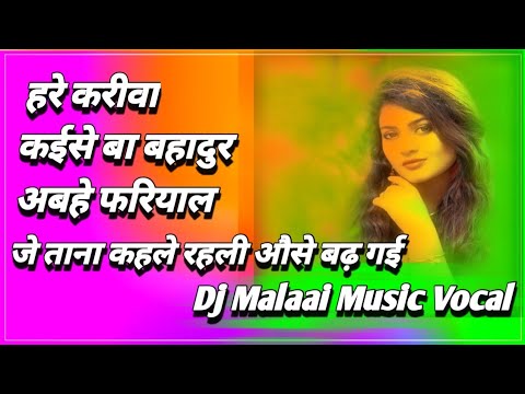 dj malaai music new vocal 2024 dj malaai music all bhirha vocal download