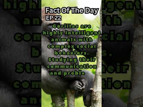 Fact Of The Day| Ep 22| Gorilla Complexity #shorts #trending #snake #fork #tongue