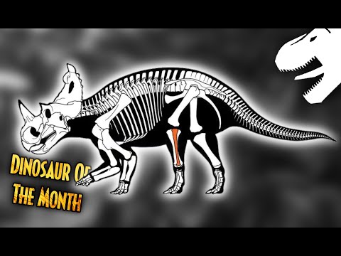 A Dinosaur With Cancer | Dinosaur Of The Month