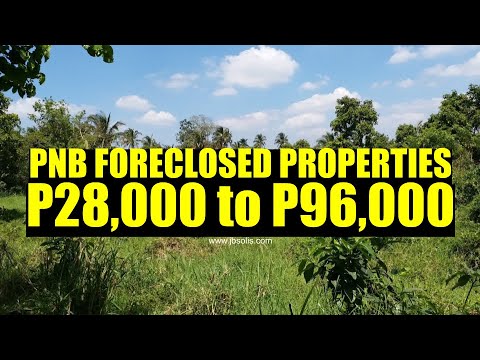 PNB FORECLOSED PROPERTIES P28,000 to P96,000