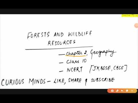 FORESTS AND WILDLIFE RESOURCES | CHAPTER 2 | GEOGRAPHY | CLASS 10 | NCERT | CURIOUS MINDS