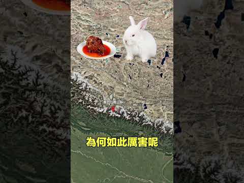 bug兔子|自說自話的總裁