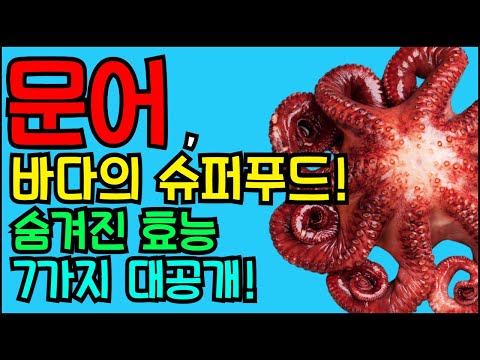 문어, 바다의 슈퍼푸드! 숨겨진 효능 7가지 대 공개! (타우린, 오메가-3 지방산, 아미노산 풍부한 영양 )