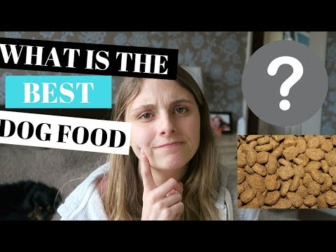 BEST DOG FOOD FOR DOGS - PROS AND CONS OF DIFFERENT TYPES OF DOG FOOD